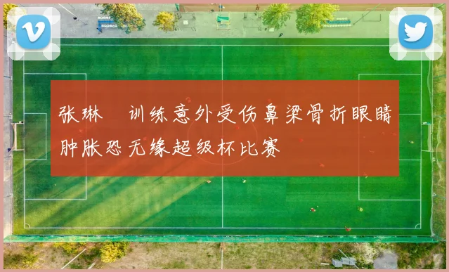 张琳芃训练意外受伤鼻梁骨折眼睛肿胀恐无缘超级杯比赛