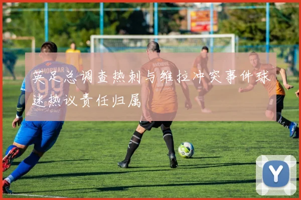 英足总调查热刺与维拉冲突事件球迷热议责任归属